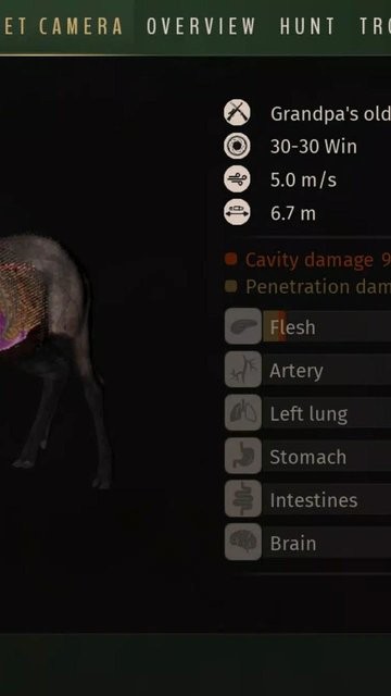 威尼斯v29下载手游