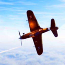 新加坡金沙app手机版下载-新加坡金沙app二战游戏下载 v1.2 安卓版